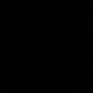 Meet your Posher, Reese